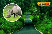 জলে ভেসে যাচ্ছে গন্ডার, হাতি! প্রাণ বাঁচাতে হাহাকার বন্যপ্রাণীদের, দেখুন ভিডিও