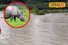Rhino Death in Gorumara: প্রাকৃতিক দুর্যোগে বিপর্যস্ত উত্তরবঙ্গ! টানা বৃষ্টির জেরে গণ্ডারের মৃত্যু, নদীতে ভেসে গিয়ে মর্মান্তিক পরিণতি