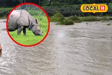 প্রাকৃতিক দুর্যোগে বিপর্যস্ত উত্তরবঙ্গ! টানা বৃষ্টির জেরে গণ্ডারের মৃত্যু