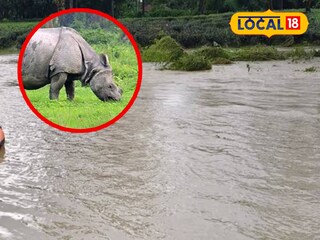 গণ্ডারের মৃত্যু। (বক্সে প্রতীকী ছবি)