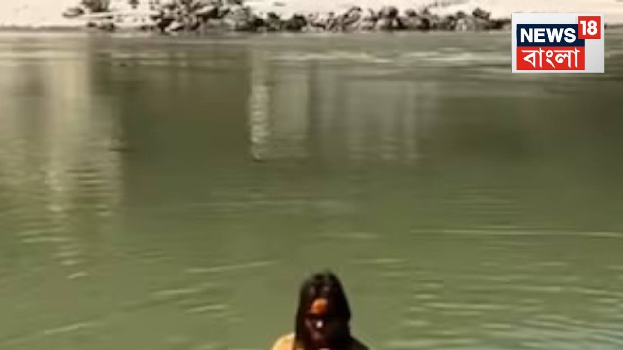 Viral Video: গলায় জড়ানো মালা, পোশাক কই? বিকিনি পরেই গঙ্গাস্নান বিদেশিনীর, ভিডিও দেখে আঁতকে উঠল নেটদুনিয়া, চরম ভাইরাল