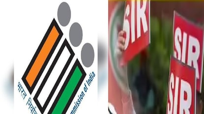 প্রতীকী ছবি৷ প্রতীকী ছবি৷