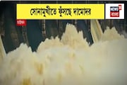 সোনামুখীতে ফুঁসছে দামোদর, জমা জলে ফসল নষ্টের আশঙ্কা, ফের চড়া দাম সবজির