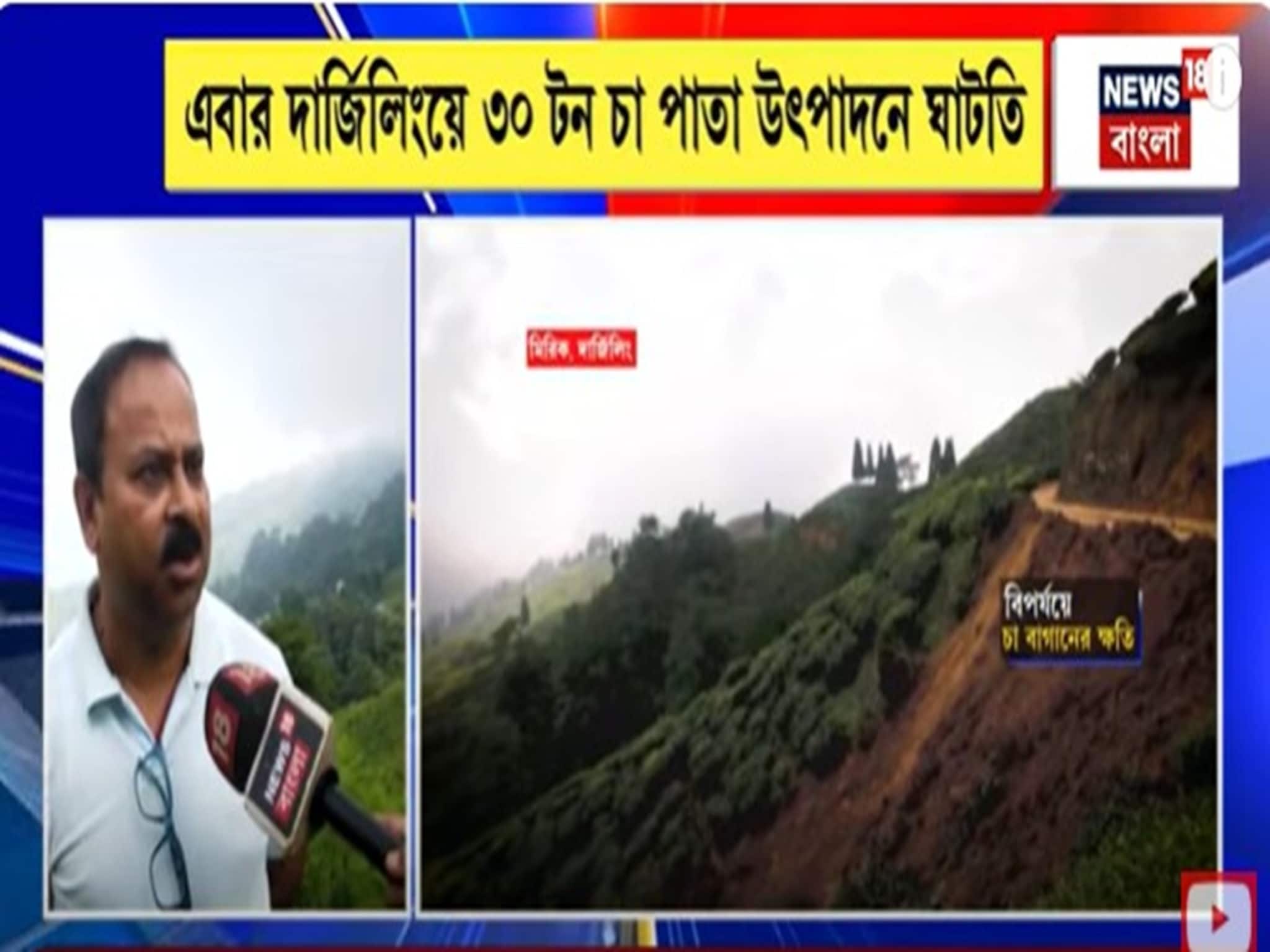 North Bengal: উত্তরবঙ্গে প্লাবনে ক্ষতিগ্রস্ত চা ও পর্যটন শিল্প, দার্জিলিংয়ে ৩০ টন চা পাতা উৎপাদনে ঘাটতি