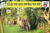 ঝাড়গ্রামে হাতি যাতায়াতের রাস্তায় রেললাইন, হাতি-ট্রেন সংঘর্ষ এড়াতে রেললাইনের পাশে ফেন্সিং