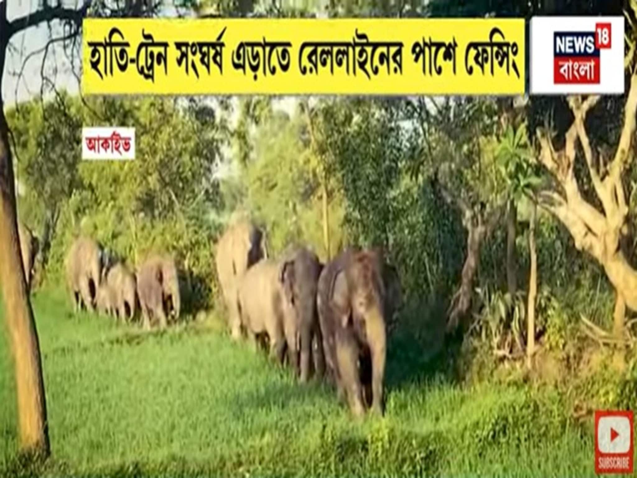 Jhargram: ঝাড়গ্রামে হাতি যাতায়াতের রাস্তায় রেললাইন, হাতি-ট্রেন সংঘর্ষ এড়াতে রেললাইনের পাশে ফেন্সিং