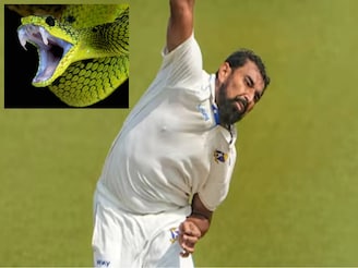 শামির ফোঁসে ভয়ে সিঁটিয়ে গেল BCCI, দৌড়তে দৌড়তে এলেন নির্বাচক, দীর্ঘক্ষণ কথা বলে....