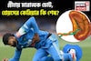 শ্রেয়স আইয়ারের ক্রিকেট কেরিয়ার কি শেষ? প্লীহায় মারাত্মক চোট পেলে শরীরে কী হয় জেনে নিন