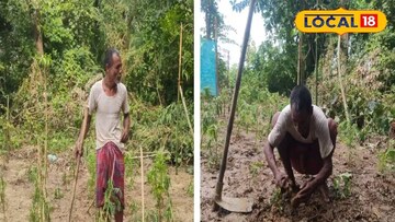 স্ত্রীর