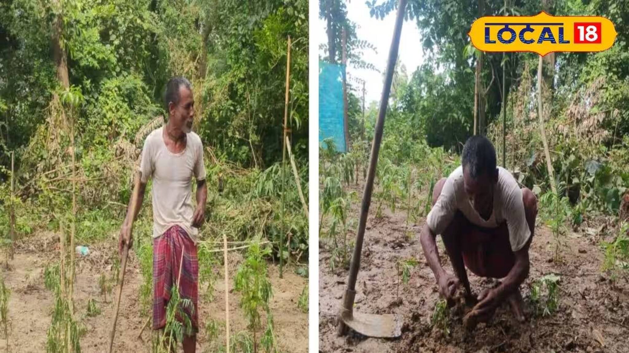 স্ত্রীর মৃত্যুর পর শ্মশানে বাগান! নিজের টাকায় করছেন সৌন্দর্যায়ন, বাস্তবের শাহজাহান গণেশ