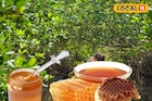 সুন্দরবনের মহিলাদের হাতে তৈরি মধু চলল আমেরিকা! বিদেশের বাজার কাঁপাবে ‘বাহা মধু’