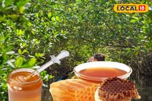 সুন্দরবনের মহিলাদের হাতে তৈরি মধু চলল আমেরিকা! বিদেশের বাজার কাঁপাবে ‘বাহা মধু’