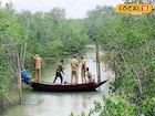 বাঘের হানা কমবে সুন্দরবনে! ৮৩ কিলোমিটারেরও বেশি এলাকা জুড়ে 'ফেন্সিং'