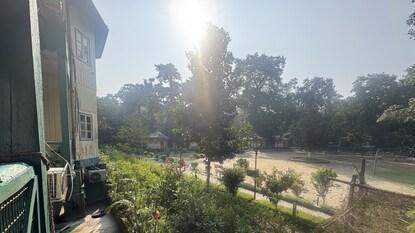 * বিপর্যয়ের ধাক্কা সামলে ঘুরে দাঁড়াচ্ছে জলদাপাড়া * বিপর্যয়ের ধাক্কা সামলে ঘুরে দাঁড়াচ্ছে জলদাপাড়া