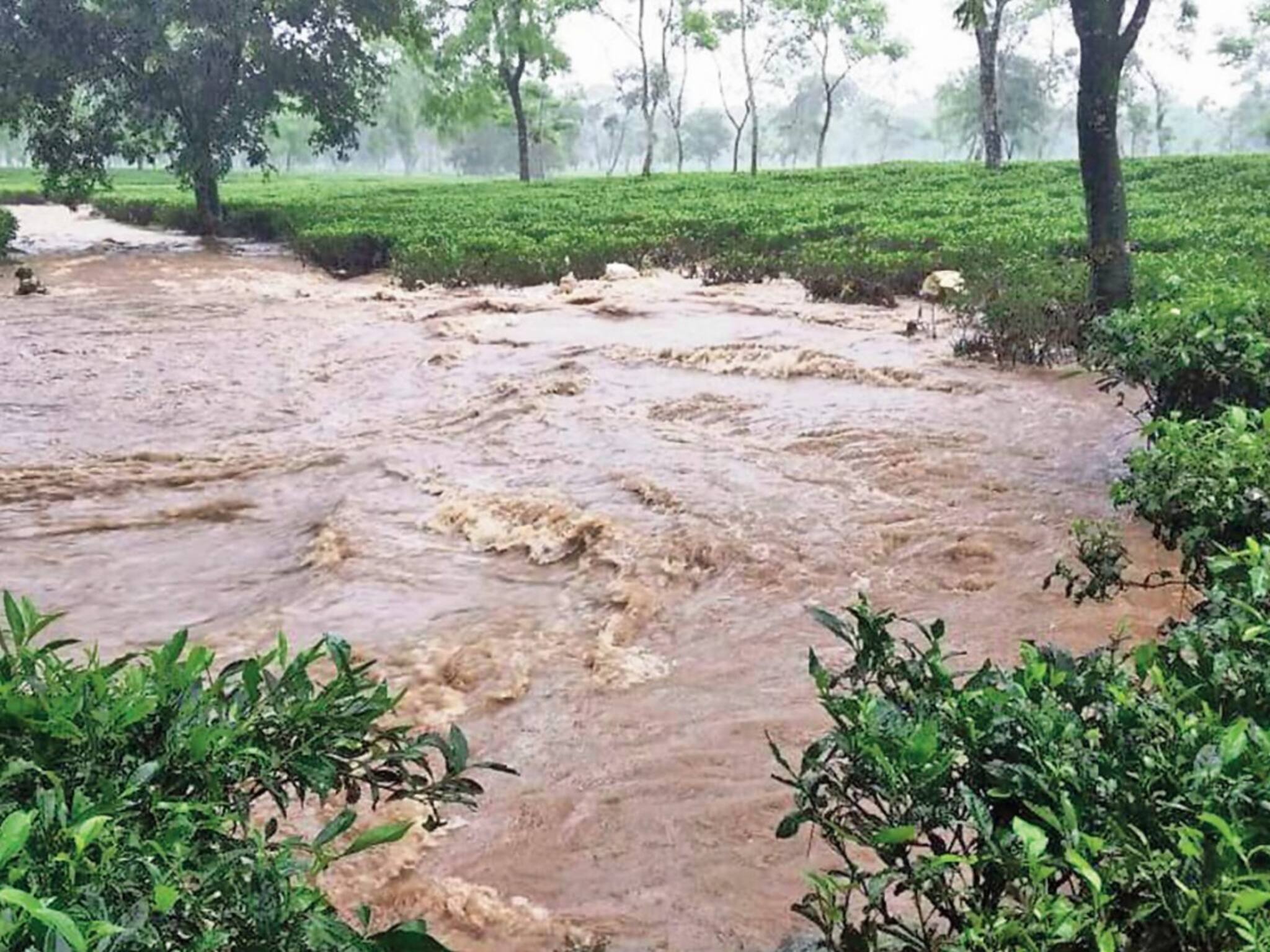 পরিস্থিতি পর্যালোচনা হবে শীঘ্রই! উত্তরবঙ্গের দুর্যোগ পরবর্তী পরিস্থিতি দেখতে সর্বদলীয় প্রতিনিধি দল পাঠানোর প্রস্তাব