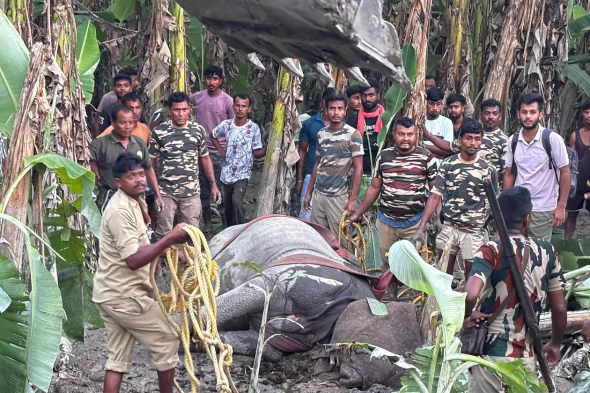 Rhino rescue: বিপর্যয়ের সময় ভেসে গিয়েছিল তারা, অবশেষে ঘরে ফিরল ১০ গন্ডার! সফল 'অপারেশন রাইনো'