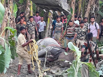* সফল অপারেশন রাইনোউত্তরবঙ্গে বিপর্যয়ের সময় ভেসে যায় গন্ডার