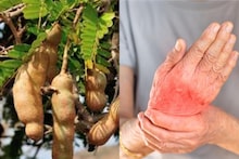 তেঁতুল বীজেই কি লুকিয়ে আছে বাতের ব‍্যথার প্রাকৃতিক ওষুধ? কী বলছে বিশেষজ্ঞরা