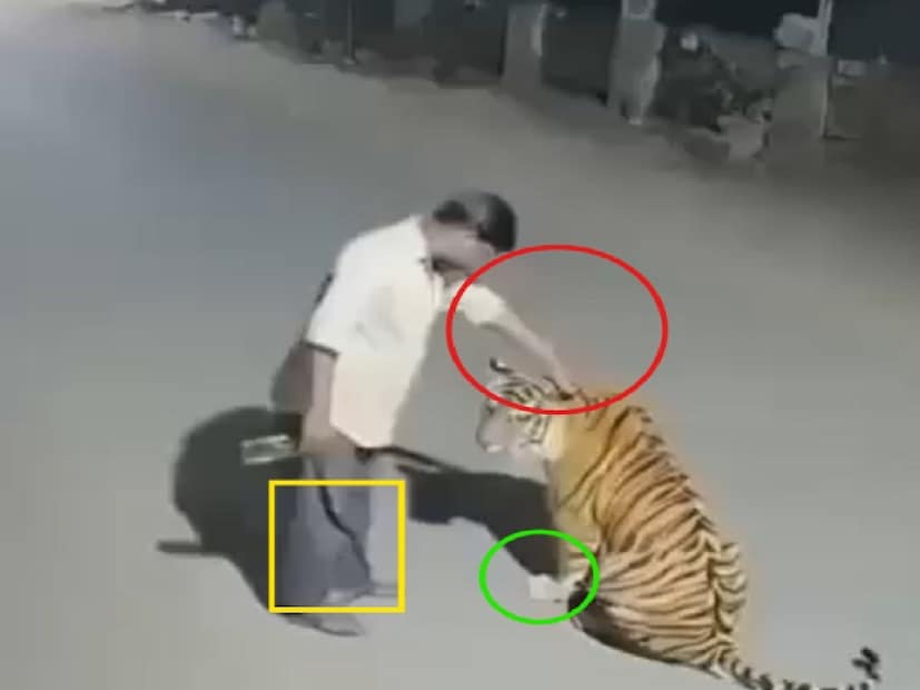 পেঞ্চের এই গল্পটি বিভিন্ন সোশ্যাল মিডিয়া প্ল্যাটফর্মে কপি পেস্ট করে ভাইরাল করা হয়েছে একেবারে ফেক এই ভিডিও ভাইরাল হওয়ার পর একাধিক প্ল্যাটফর্ম থেকে এই ভিডিওটি ডিলিট করে দেওয়া হয়েছে৷