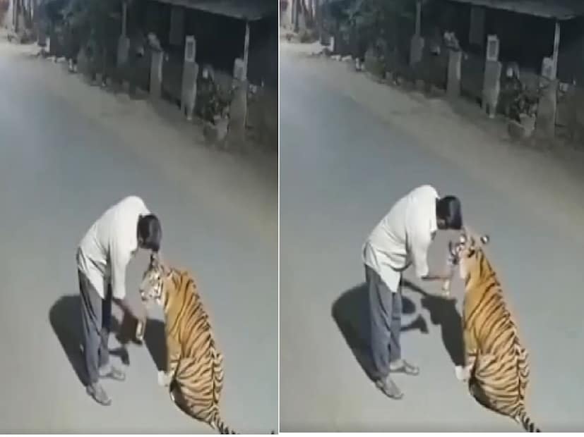 WasItAI উপসংহারে বলেছে: 