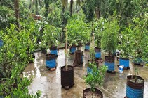 ছাদে এই ৩ জিনিস রাখলেই সর্বনাশ,টাকার অভাবে কাঙাল হবেন, শনিদেবের অভিশাপে জীবন হবে নরক