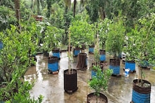 ছাদে এই ৩ জিনিস রাখলেই সর্বনাশ,টাকার অভাবে কাঙাল হবেন, শনিদেবের অভিশাপে জীবন হবে নরক