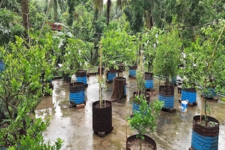 ছাদে এই ৩ জিনিস রাখলেই সর্বনাশ,টাকার অভাবে কাঙাল হবেন, শনিদেবের অভিশাপে জীবন হবে নরক