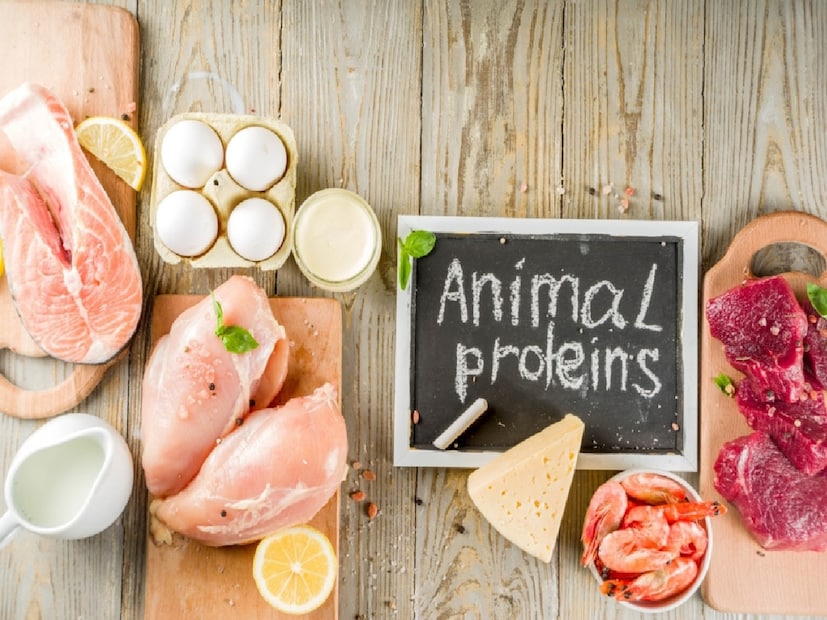 অতিরিক্ত অ্যানিম্যাল প্রোটিন-- মাংস, দুধ ও ডিমের পুষ্টিগুণ বলে শেষ করা যায় না! কিন্তু যাঁরা অতিরিক্ত প্রাণীজ প্রোটিন খান, তাঁদের গাট মাইক্রোবিওম-এর উপর ক্ষতিকর প্রভাব পড়ে। ২০২৩ -এর একটি গবেষণায় দেখা গিয়েছে, যাঁরা বেশি অ্যানিম্যাল প্রোটিন খান, তাঁদের শরীরে গাট ব্যাকটেরিয়ার পরিমাণ কমে যায়, ফলে ওজন কমতে চায় না। 