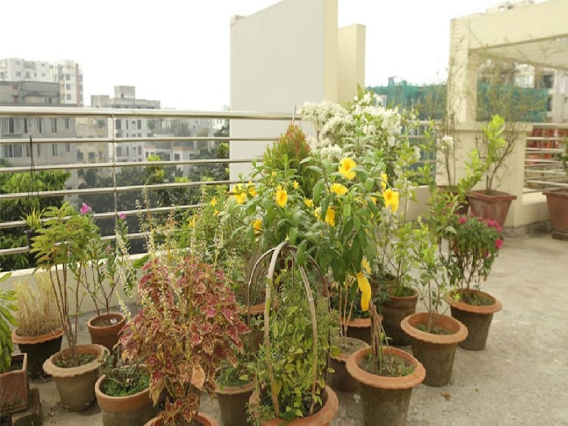 বাস্তুশাস্ত্র অনুসারে, ঘর থেকে কিছু জিনিস সরিয়ে ফেলা শুভ বলে মনে করা হয়। বাড়ির ছাদে কিছু জিনিস রাখার ক্ষেত্রে বাস্তু নিয়ম মেনে চলা গুরুত্বপূর্ণ। এটি করলে নেতিবাচক শক্তির প্রবাহ বন্ধ হবে এবং ইতিবাচক শক্তি বজায় থাকবে।