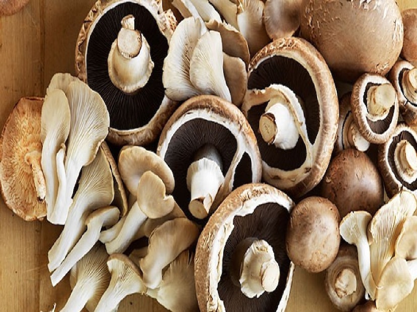 এই কারণেই কৃষকরা এখন ঐতিহ্যবাহী কৃষিকাজ থেকে সরে এসে ব্যতিক্রমী চাষের দিকে ঝুঁকছেন। যাঁদের কম জমি রয়েছে, সে-সমস্ত কৃষকদের শীতকালে মাশরুম চাষ আয়ের একটি চমৎকার উৎস হতে পারে। মাশরুম চাষের জন্য খুব বেশি জায়গার প্রয়োজন হয় না; ছোট ঘর বা চালায় সহজেই চাষ করা যায়। সরকার সমন্বিত উদ্যানপালন উন্নয়ন মিশনের আওতায় কৃষকদের এই অর্থকরী ফসল চাষে উৎসাহিত করছে। মাশরুম ইউনিট স্থাপনের জন্য কৃষকদের ১ লক্ষ টাকা পর্যন্ত অনুদানও দেওয়া হচ্ছে, যার ফলে ছোট কৃষকরাও কম খরচে নিজস্ব উদ্যোগ শুরু করতে এবং তাঁদের আয় বৃদ্ধি করতে সক্ষম হবেন।