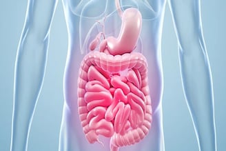 যাই খান তাতেই গ্যাস-অম্বল-চোঁয়া ঢেঁকুর? 'গাট হেলথ' ভাল রাখতে এই ৭ খাবার আজই ছাড়তে হবে