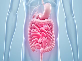 যাই খান তাতেই গ্যাস-অম্বল-চোঁয়া ঢেঁকুর? 'গাট হেলথ' ভাল রাখতে এই ৭ খাবার আজই ছাড়তে হবে