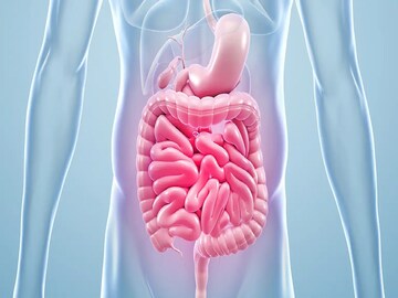 যাই খান তাতেই গ্যাস-অম্বল-চোঁয়া ঢেঁকুর? 'গাট হেলথ' ভাল রাখতে এই ৭ খাবার আজই ছাড়তে হবে