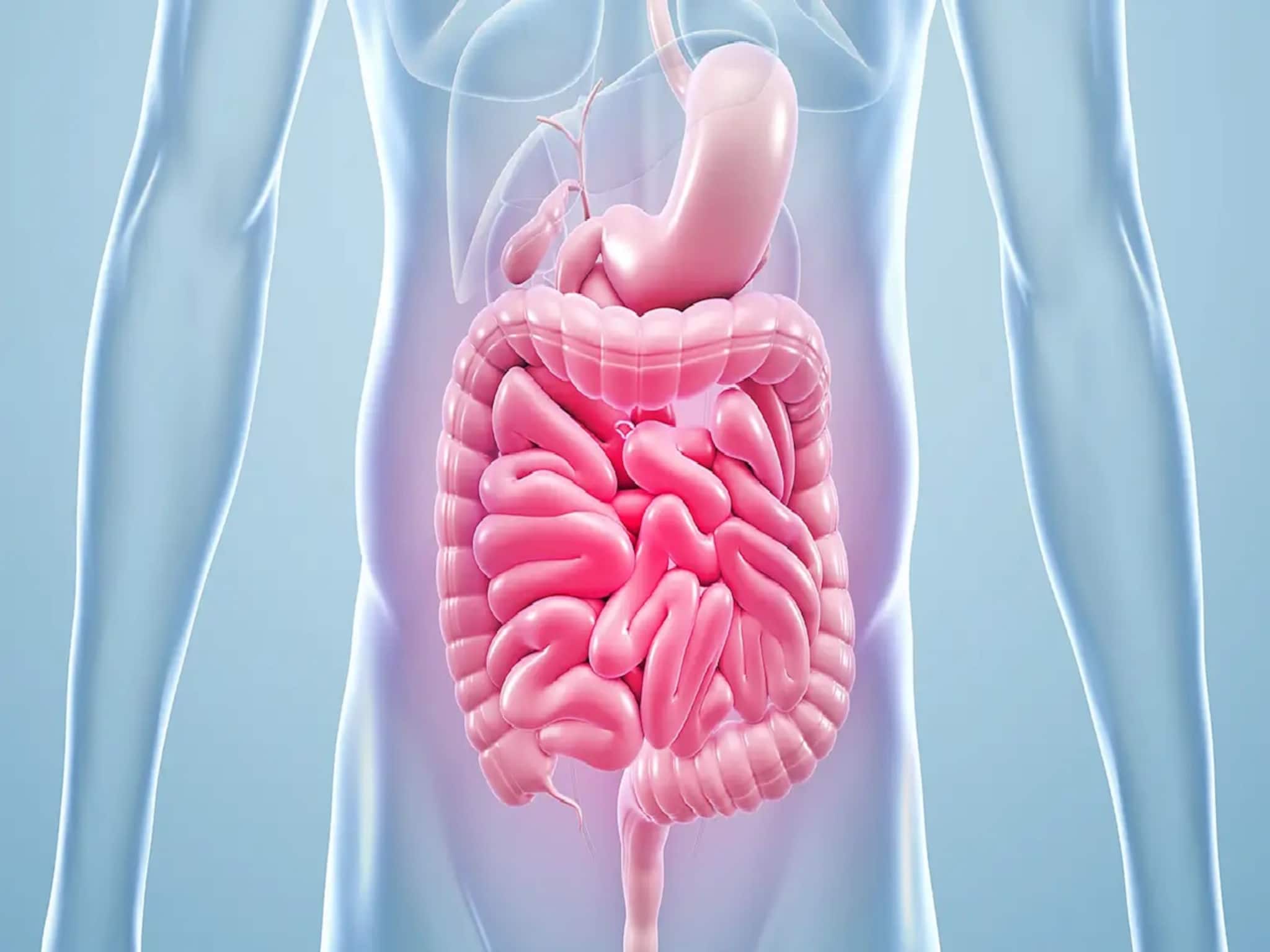 Improve Your Gut Health: যাই খান তাতেই গ্যাস-অম্বল-চোঁয়া ঢেঁকুর? 'গাট হেলথ' ভাল রাখতে এই ৭ খাবার আজই ছাড়তে হবে Improve Your Gut Health: যাই খান তাতেই গ্যাস-অম্বল-চোঁয়া ঢেঁকুর? 'গাট হেলথ' ভাল রাখতে এই ৭ খাবার আজই ছাড়তে হবে