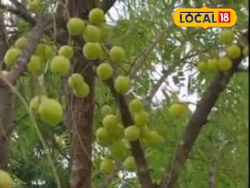 News18