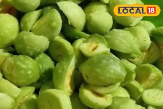 তেঁতো বলে নাক সিঁটকাচ্ছেন? 'অলৌকিক' সবজি! এই ‘আনাজ’ বধ করে সব রোগের বাড়বাড়ন্ত