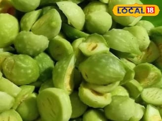 তেঁতো বলে নাক সিঁটকাচ্ছেন? 'অলৌকিক' সবজি! এই ‘আনাজ’ বধ করে সব রোগের বাড়বাড়ন্ত