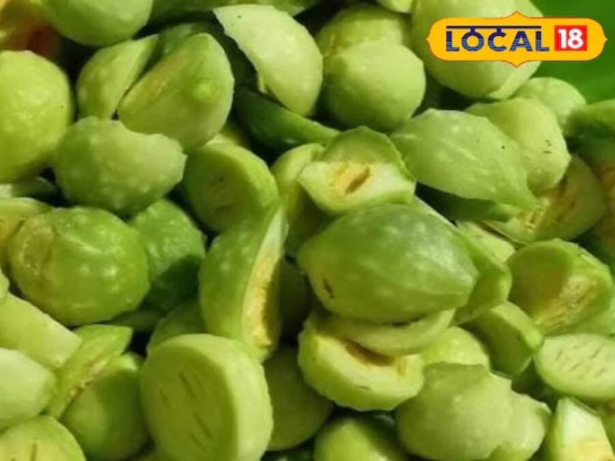 Health Benefits: তেঁতো বলে নাক সিঁটকাচ্ছেন? 'অলৌকিক' সবজি! এই ‘আনাজ’ বধ করে সব রোগের বাড়বাড়ন্ত