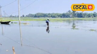 জলমগ্ন কৃষিজমি