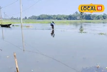 বিশ বাঁও জলে সবজি চাষ! উৎসবের মরশুমে ব্যাপক ক্ষতির মুখে চাষিরা