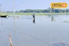 বিশ বাঁও জলে সবজি চাষ! উৎসবের মরশুমে ব্যাপক ক্ষতির মুখে চাষিরা
