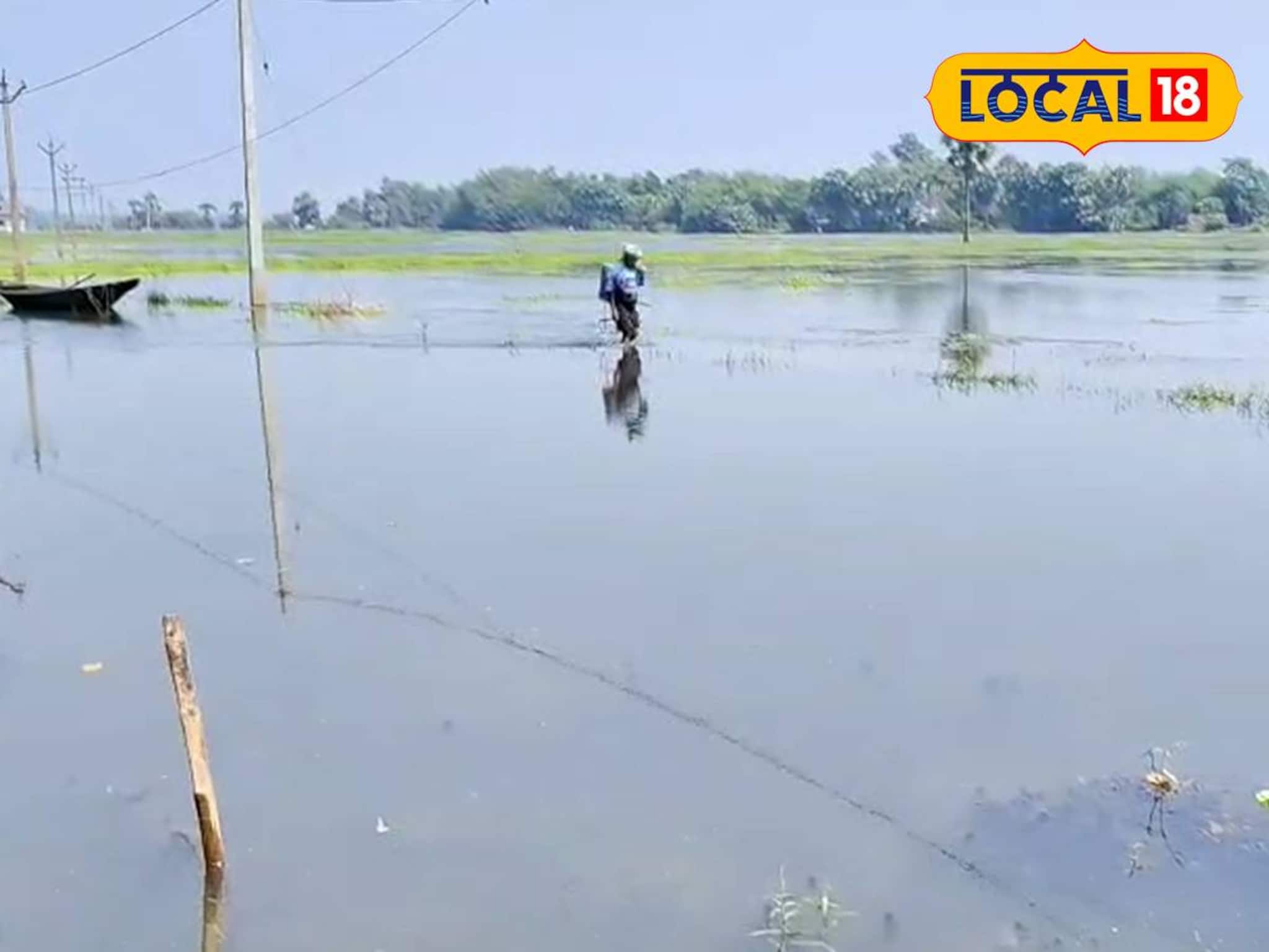 বিশ বাঁও জলে সবজি চাষ! উৎসবের মরশুমে ব্যাপক ক্ষতির মুখে চাষিরা