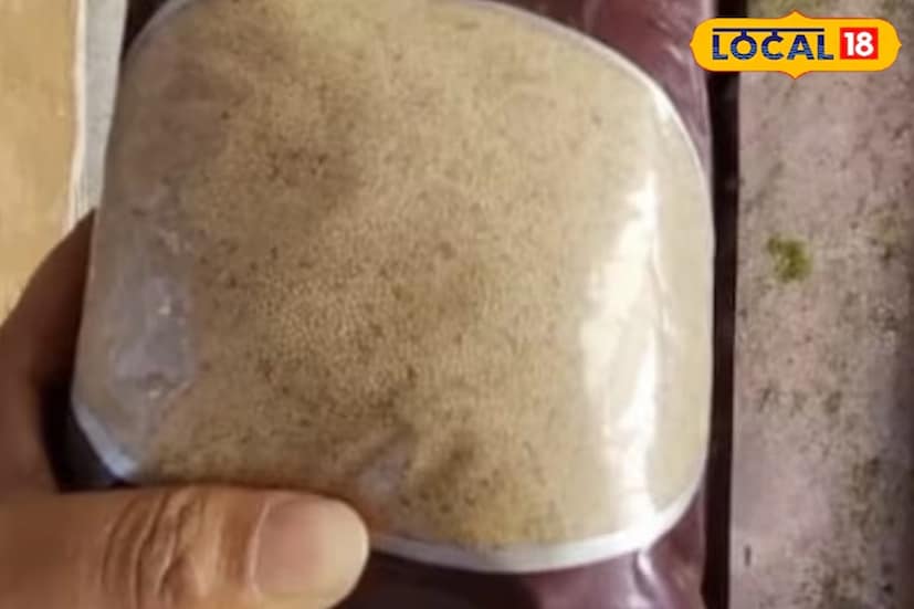 এটি রক্তাল্পতা মোকাবিলায় সাহায্য করে। কারণ এতে প্রচুর পরিমাণে আয়রন থাকে। আয়রন লোহিত রক্তকণিকা উৎপাদন এবং হিমোগ্লোবিনের মাত্রা বৃদ্ধি করে, যা রক্তাল্পতা কমাতে সাহায্য করে। এটি রক্তে শর্করা নিয়ন্ত্রণে সাহায্য করতে পারে। কারণ এটি পুষ্টিগুণে সমৃদ্ধ এবং ডায়াবেটিস-বিরোধী, সঙ্গে অ্যান্টিঅক্সিডেন্ট বৈশিষ্ট্যযুক্ত। এটি প্রাকৃতিক ইনসুলিন উৎপাদন বৃদ্ধি করে এবং এর ফাইবার রক্তে শর্করার মাত্রা স্থিতিশীল রাখতে সাহায্য করে।