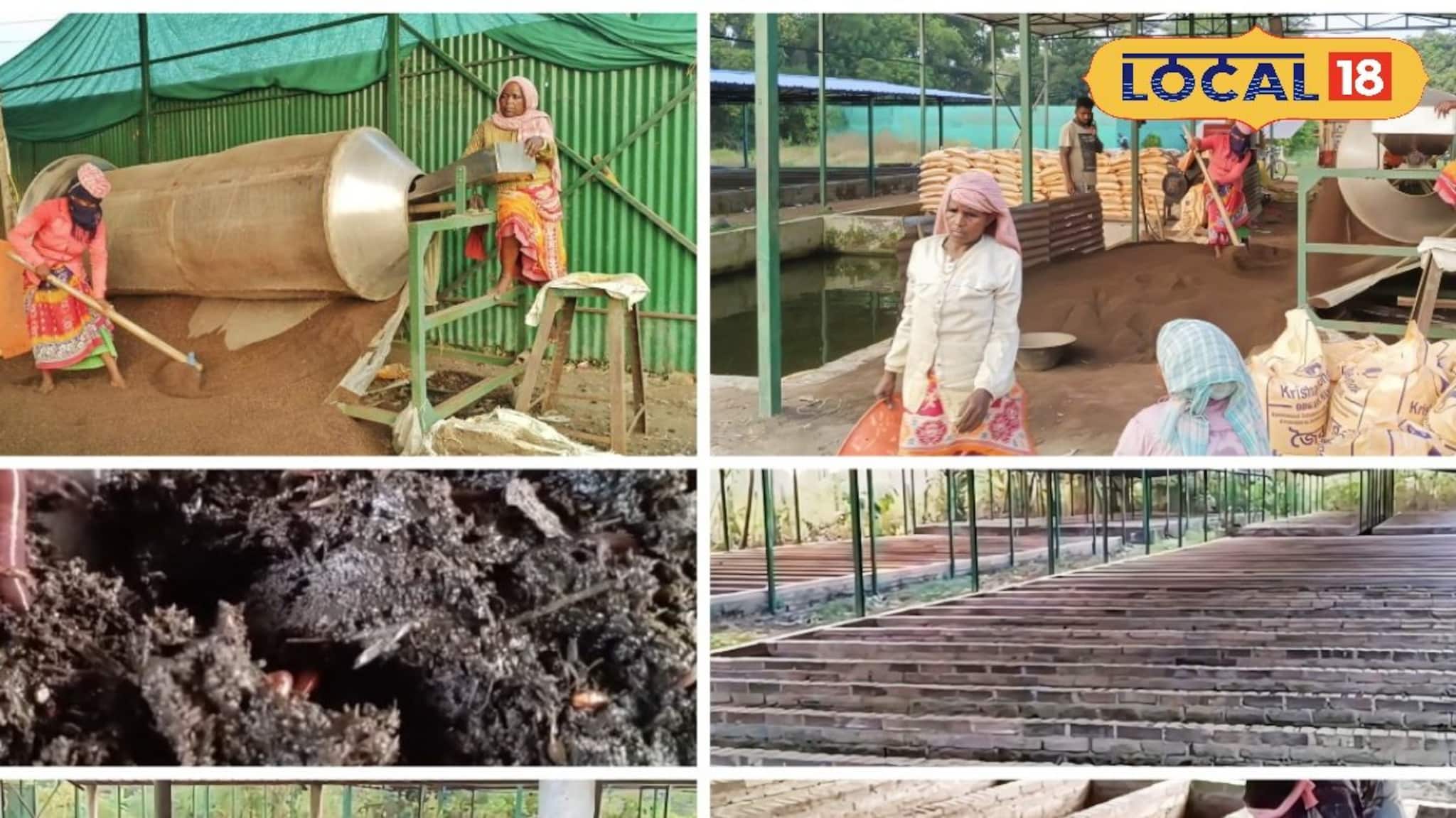 গোবর আর কেঁচো, মাত্র ২ উপকরণে বাড়ি বসে বিপুল আয়! জানতে হবে সঠিক পদ্ধতি