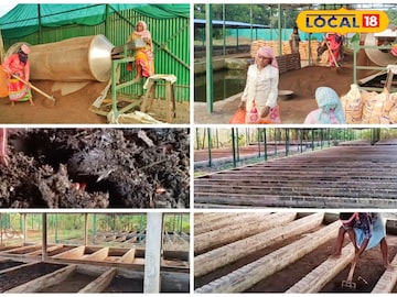 ভার্মি ভার্মি