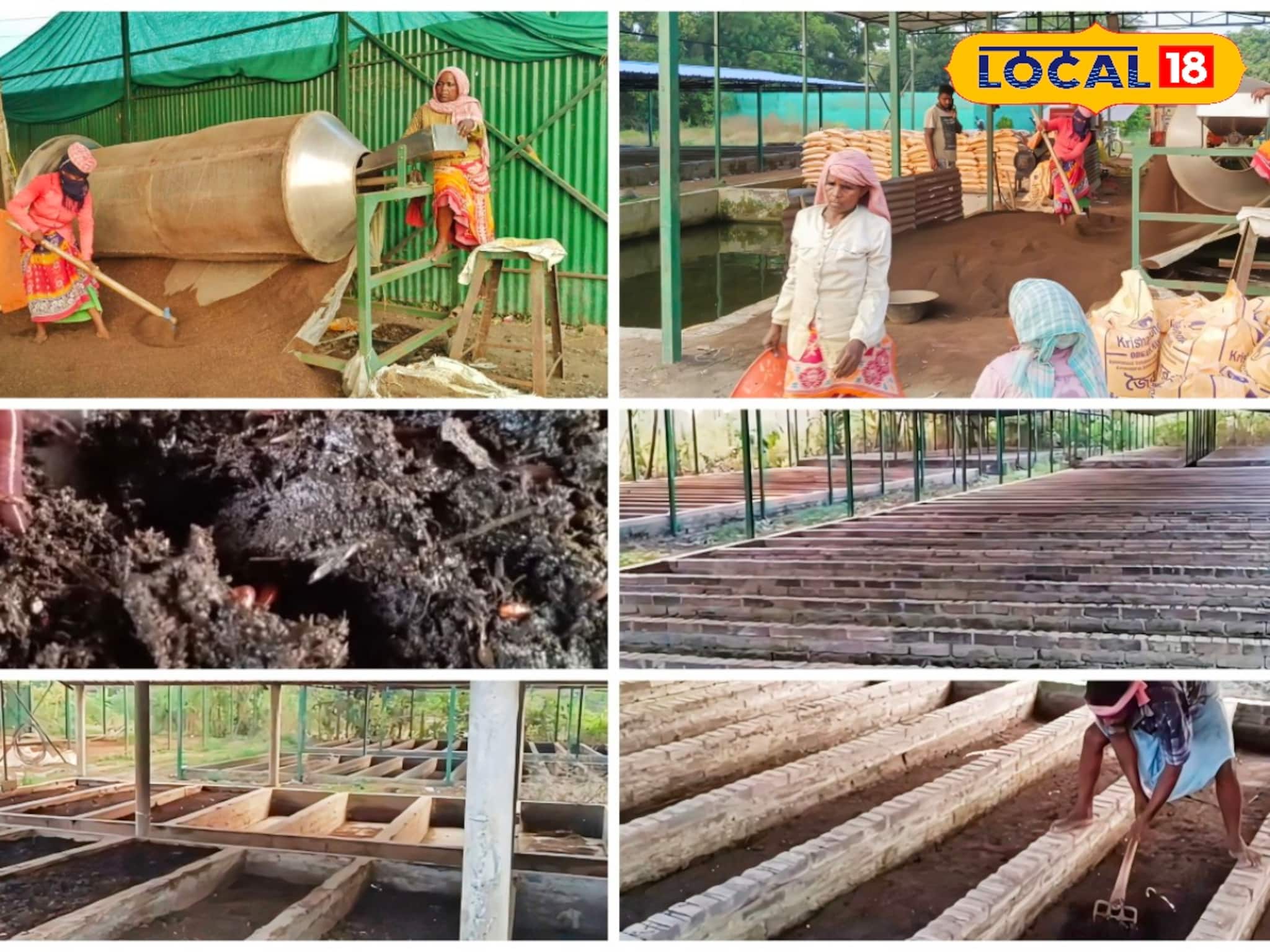 গোবর আর কেঁচো, মাত্র ২ উপকরণে বাড়ি বসে বিপুল আয়! জানতে হবে সঠিক পদ্ধতি