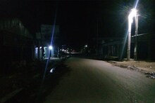রাত বাড়লেই শুরু অত্যাচার! ভয়ে তটস্থ গোটা গ্রাম, সুন্দরবনের বাঘের থেকেও ভয়ানক এই প্রাণী!