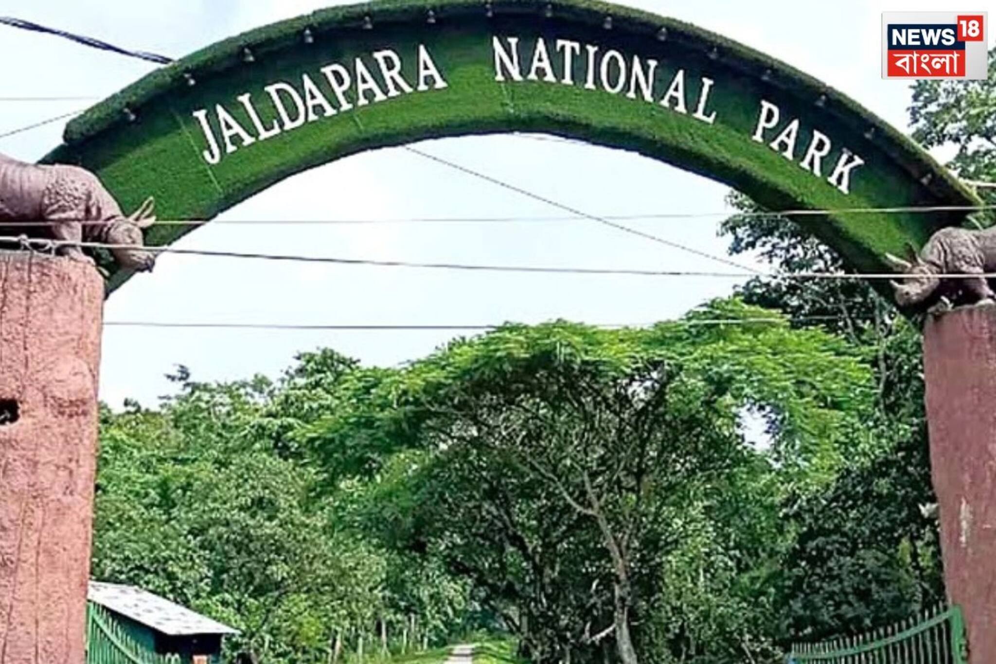 বন্ধ হল জলদাপাড়া জাতীয় উদ্যান, জঙ্গল সাফারি এখন নয়,আলিপুরদুয়ারে আজও ভারী বৃষ্টি আশঙ্কা