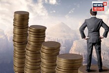 How To Become Rich: কম খরচে বাম্পার লাভ, টাকার সুখ দেবে সাদা সর্ষে! ৩-৫ মাসের মধ্যে হাতে আসবে 'মাল'