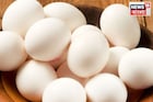 ডিমের পুষ্টিগুণ সম্পর্কে সচেতনতা বৃদ্ধি, world egg day-তে প্রায় ৫০হাজার ডিম বিতরণ সরকারের